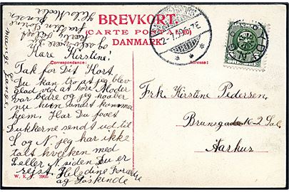 5 øre Fr. VIII på brevkort (Faaborg, stranden ved ny Dyreborg) annulleret med stjernestempel YDING og sidestemplet Skanderborg d. 2.7.1909 til Aarhus.