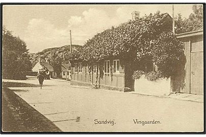 Parti fra Vingaarden i Sandvig. Colberg no. 604.