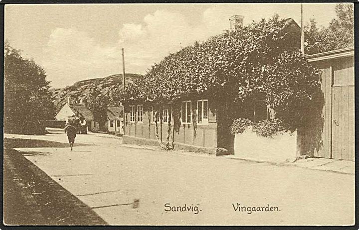 Parti fra Vingaarden i Sandvig. Colberg no. 604.