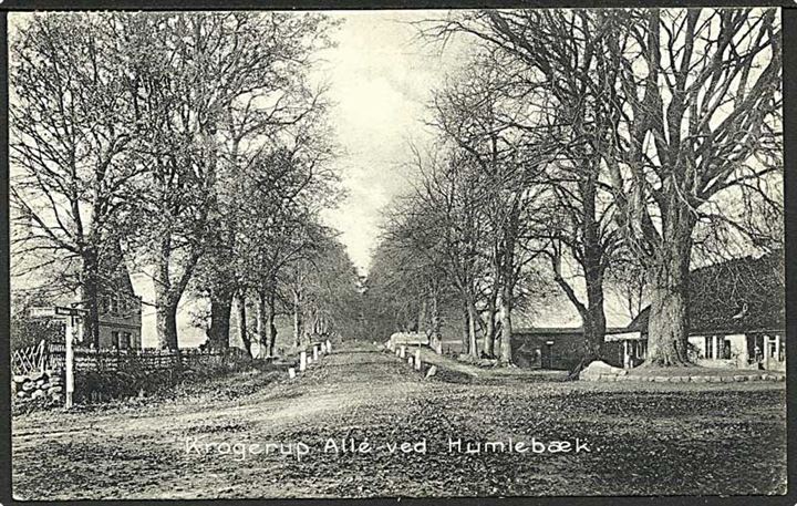 Parti fra Krogerup Allé ved Humlebæk. Stenders no. 487.