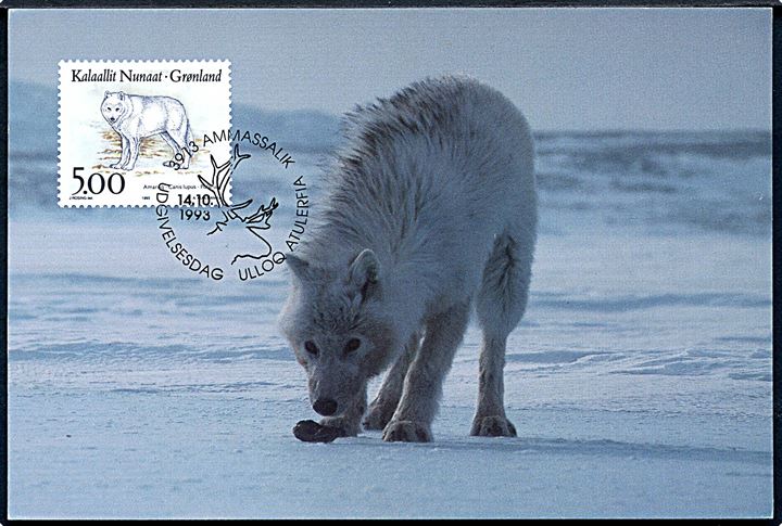 Grønland. 3 postkort. Ren, Polarulv og Polarræv. Grønlands Postvæsen no. BET 42 / 92, 43 / 93 & 44 / 93. 