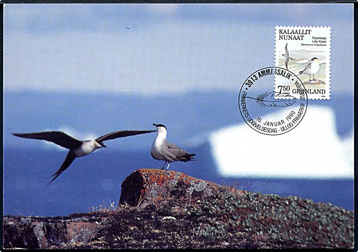 Grønland. 2 postkort. Lille Kjove & Snegås. Grønlands Postvæsen no. BET 25 / 90 & 24 / 90. 