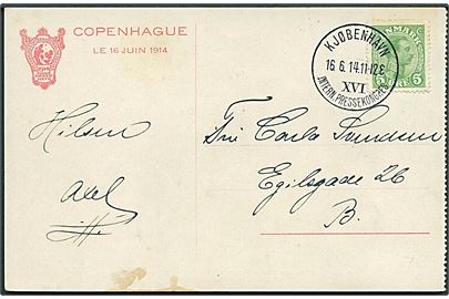 5 øre Chr. X på officielt brevkort annulleret med smukt særstempel Kjøbenhavn XVI Intern. Pressekongres d. 16.6.1914 til Kjøbenhavn. 