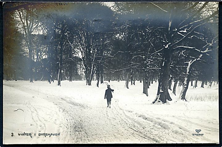 5 øre Fr. VIII (par) på julekort (”Vinter i Dyrehaven”, Fotografisk Forlag no. 3) og Julemærke 1911 fra Hellerup d. 24.12.1911 til Riga, Letland, Rusland. Usædvanlig destination.