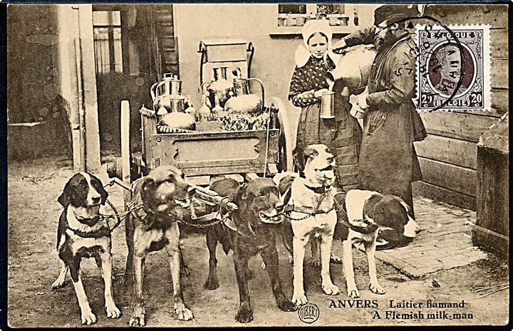 Antwerpen, flamsk mælkemand med hundetrukken vogn.