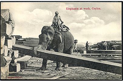 Ceylon, elefant i arbejde. Skeen-Photo u/no.