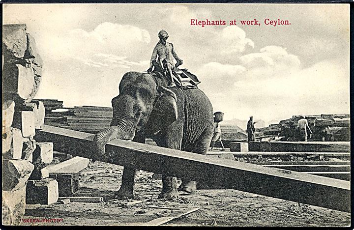 Ceylon, elefant i arbejde. Skeen-Photo u/no.
