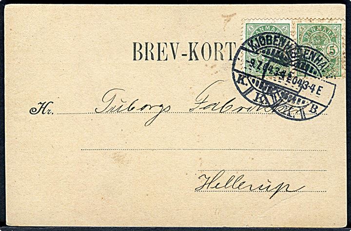 5 øre Våben (par) på brevkort vedr. returgods sendt med dampskibet Hammershus dateret Nexø d. 8.7.1904 og annulleret Kjøbenhavn d. 9.7.1904 til Tuborgs Fabrikker i Hellerup. 