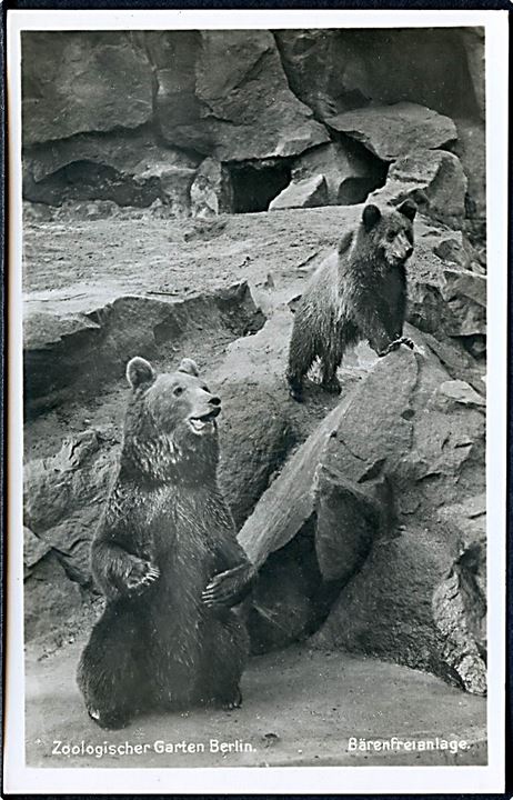 Tyskland. Zoologisk Have med Bjørnene. No. C/2256. 