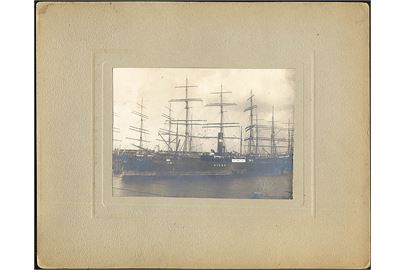 “Signe”, S/S, Dampskibsselskabet Torm. Stort foto dateret Hamburg 1920. 16x11½ cm.
