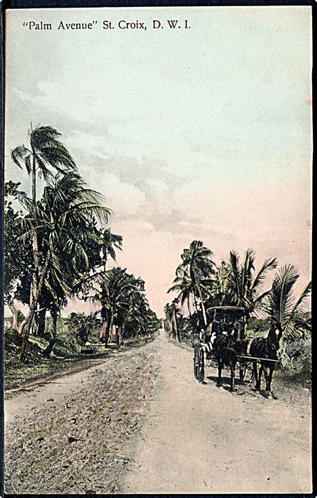 D.V.I., St. Croix, “Palm Avenue”. R. D. Benjamin u/no.