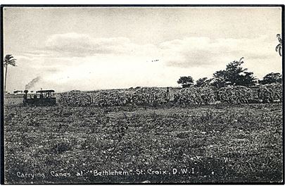 D.V.I., St. Croix, Bethlehem. Industri-jernbane med sukkerrør. A. Ovesen no. 14.