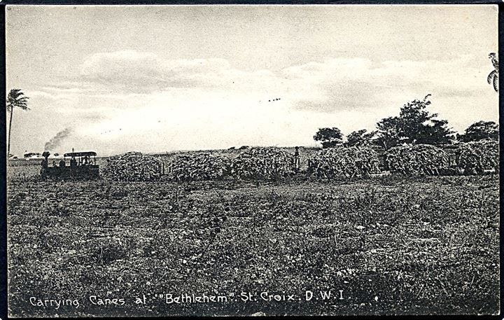 D.V.I., St. Croix, Bethlehem. Industri-jernbane med sukkerrør. A. Ovesen no. 14.