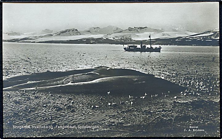 Svalbard, hvaler og fangstbåd. C. A. Erichsen no. 604.
