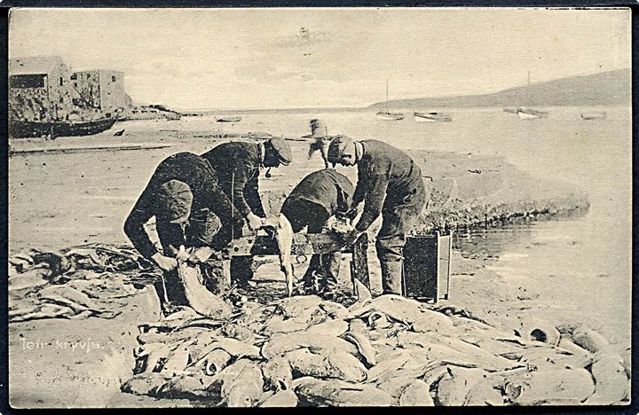 Færøerne, fiskene rensen. H. N. Jacobsen u/no.