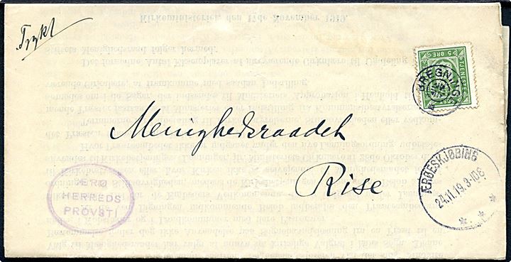 5 øre Tjenestemærke på tryksag med cirkulære annulleret med stjernestempel BREGNINGE og sidestemplet Ærøeskjøbing d. 24.11.1919 til Rise.