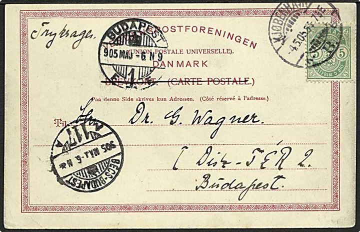 5 øre Våben single på brevkort sendt som tryksag fra Kjøbenhavn d. 4.5.1905 til Budapest, Ungarn. Sjælden destination.