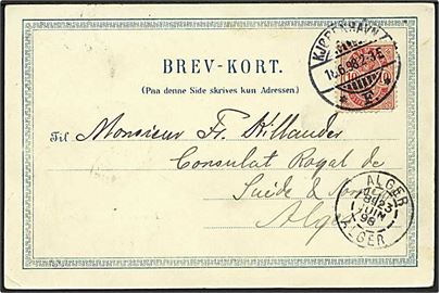 10 øre Våben på brevkort fra Kjøbenhavn d. 18.6.1898 via Alger i Nordafrika. God destination.