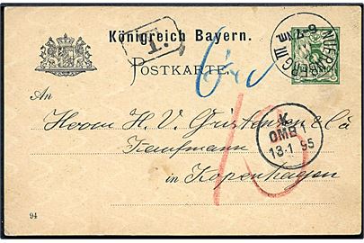 5 pfg. helsagsbrevkort sendt underfrankeret fra Nuernberg d. 11.1.1895 til København, Danmark. Udtakseret i 13 øre dansk porto.