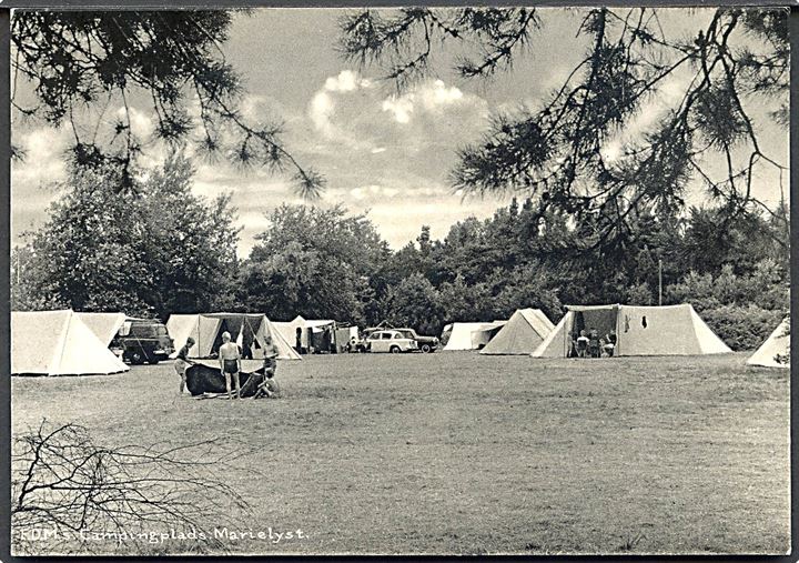 Marielyst. F. D. M.s Campingplads. Stenders no. 99532. 