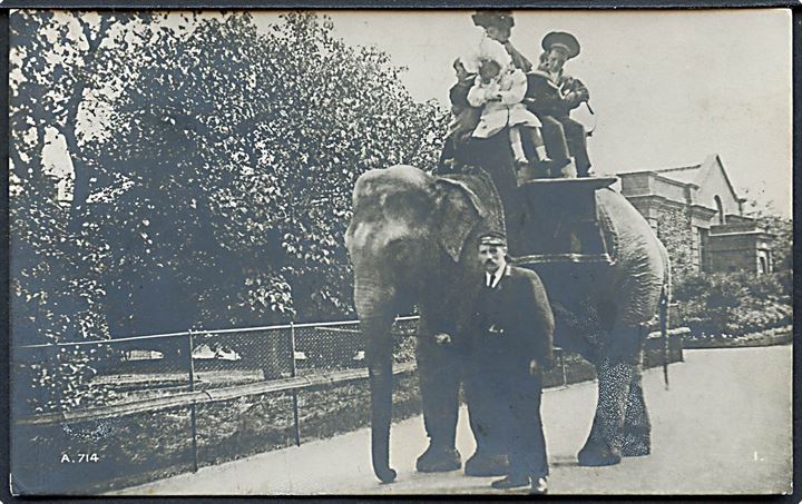 England. Muligvis London. Kvinde og børn får ridetur på Elefant. Rotary Photo no. A. 714. no. 1. 