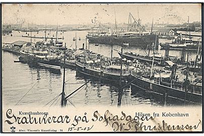 Kbh., Kvæsthusbroen, diverse dampskibe og DFDS slæbebåden Bryderen. A. Vincent no. 76.