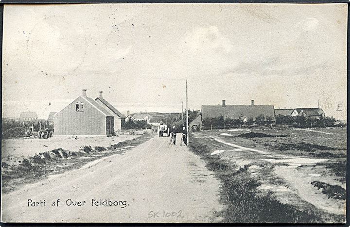 5 øre Fr. VIII på brevkort (Parti fra Over Feldborg) annulleret med stjernestempel OVER FELDBORG og sidestemplet Skive d. 4.3.1911 til Roslev.