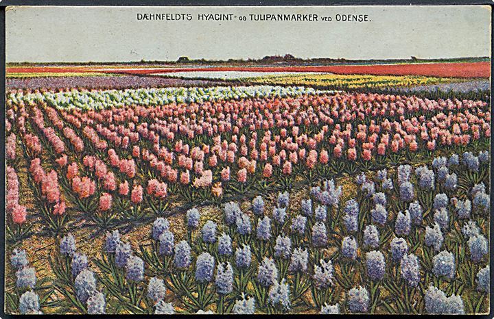 Dæhnfeldts Hyacint og Tulipanmarker ved Odense. Odense u/no. 