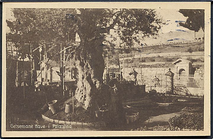 Getsemane Have i Palæstina. Stenders no. 55026. 
