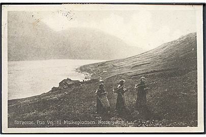 Færøerne. Paa vej til Malkepladsen. Norderøerne. E. & S. u/no. 
