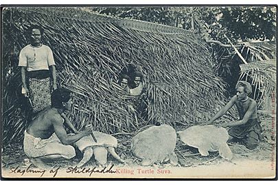 Fiji, Suva. Tilberedning af skildpaddesuppe. J. W. Waters no. 118588. 