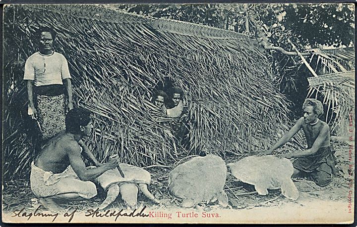 Fiji, Suva. Tilberedning af skildpaddesuppe. J. W. Waters no. 118588. 