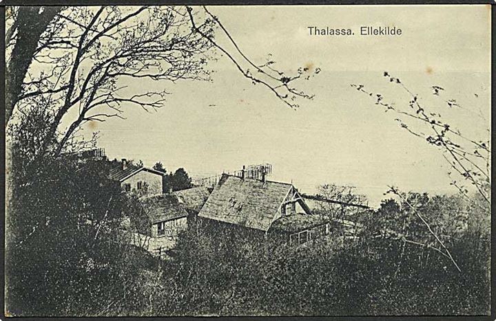 Parti fra Thalassa i Ellekilde. J.M. no. 726.