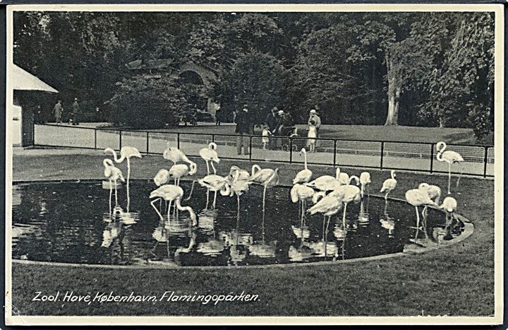 København. Zoologisk Have, Flamingoparken. Stenders no. 87352. 