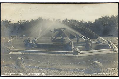 Vejen. Springvandet af Hansen Jacobsen. Fotokort no. 1896. 