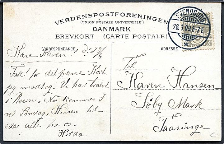 Svendborg Dyrskue 1909. No. 5843. 