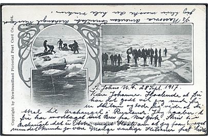 At the Newfoundland Sealfishery. Newfoundland Pictorial & Co. no. 1904. (Afrevet mærke. Skader). 