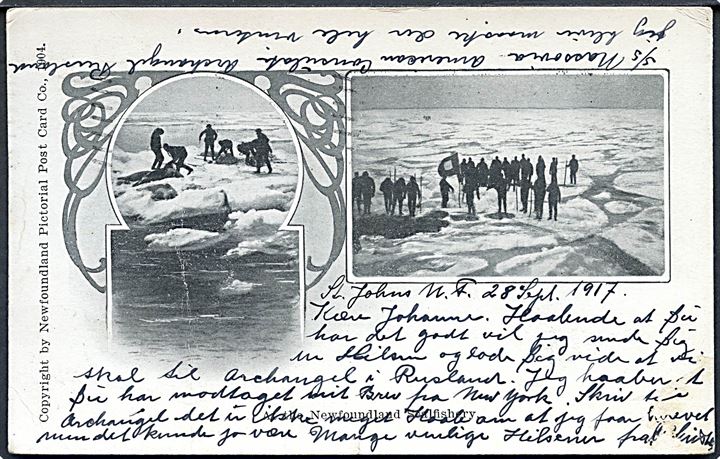 At the Newfoundland Sealfishery. Newfoundland Pictorial & Co. no. 1904. (Afrevet mærke. Skader). 
