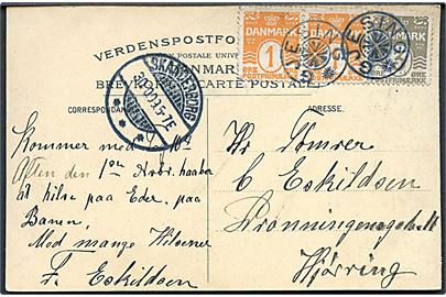 1 øre (par) og 3 øre Bølgelinie på brevkort annulleret med stjernestempel GJESING og sidestemplet Skanderborg d. 30.10.1909 til Hjørring.