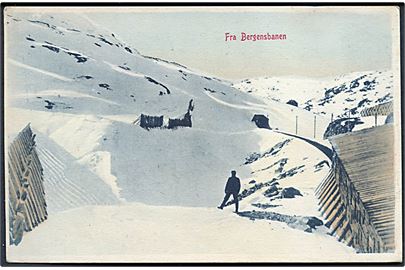 Norge. Fra Bergesbanen. Mittet & Co. No. 1174. 