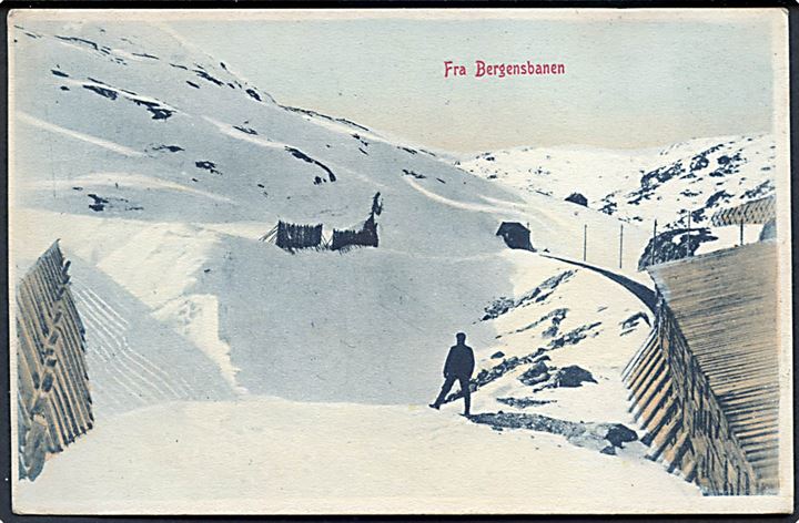 Norge. Fra Bergesbanen. Mittet & Co. No. 1174. 