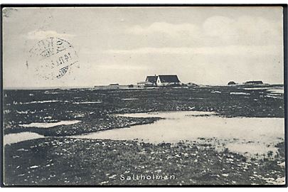 Saltholm, bebyggelse på øen. Stenders no. 8308.