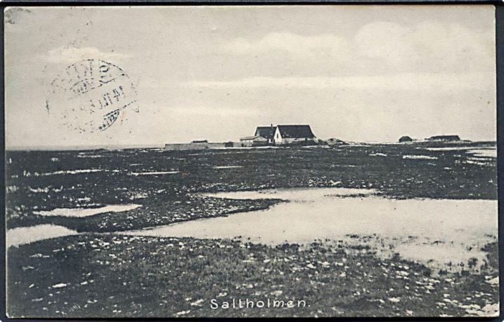 Saltholm, bebyggelse på øen. Stenders no. 8308.