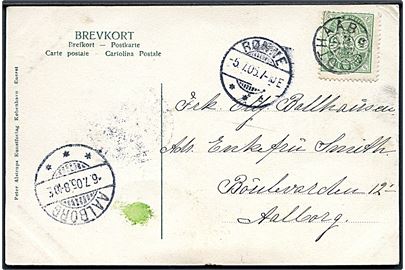 5 øre Våben på brevkort annulleret med stjernestempel GODTHAAB og sidestemplet Rønne d. 5.7.1905 til Aalborg.