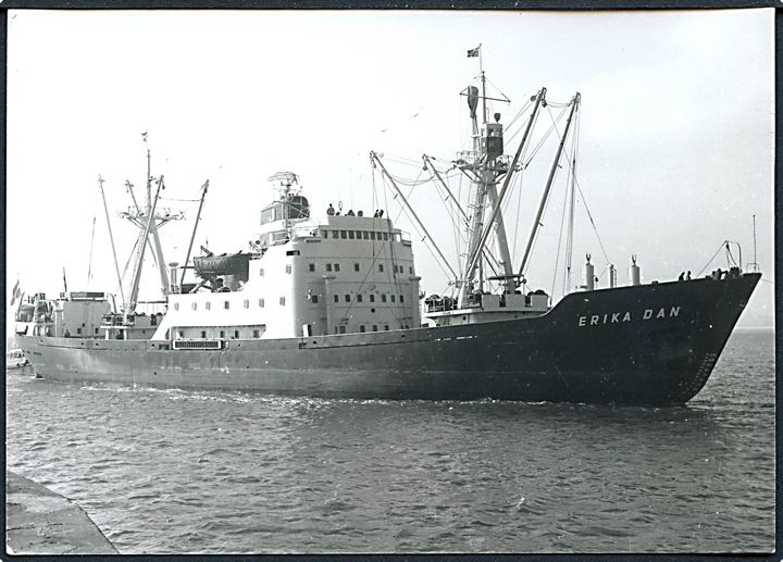 Erika Dan, M/S, J. Lauritzen arktisk forsyningsskib. Fotokort u/no.
