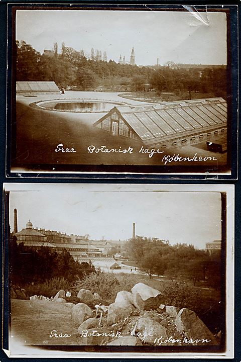 Købh., Botanisk Have. 4 private fotografier fra ca. 1900-10. 9x12 cm.