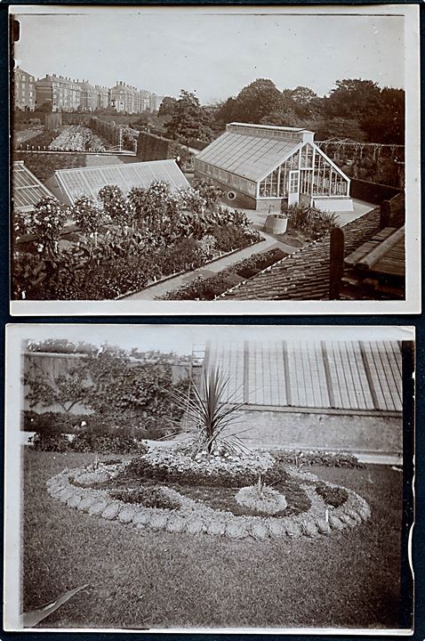 Købh., Botanisk Have. 4 private fotografier fra ca. 1900-10. 9x12 cm.