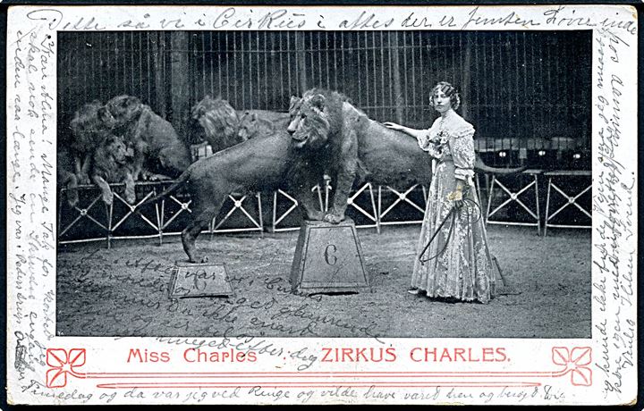 Zirkus Charles med løver og Miss Charles. Kemnitz u/no.