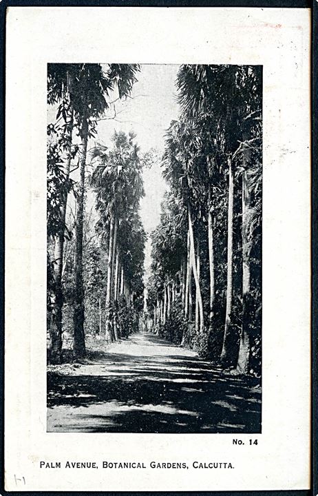 Filippinerne 4 cents og britisk 1½d George V på blandingsfrankeret brevkort (Botanical Gardens, Calcutta) annulleret med amerikansk skibsstempel New Yoprk Paquebot d. 23.3.1923 til Albany, USA.