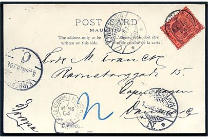 6 cents Våben på brevkort stemplet Mauritius d. 16.2.1904 via fransk dampskibsbureau La Reunion a Marseille L.V.No 4 d. 1.3.1904 til Kjøbenhavn. Meddelelse omtaler at Siam afgår herfra i dag.